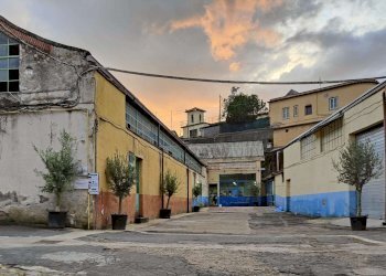 899f5ce6-4ffa-4471-8c5c-b5a5b4815120 - Laboratory via mesula, Roma - photo 7