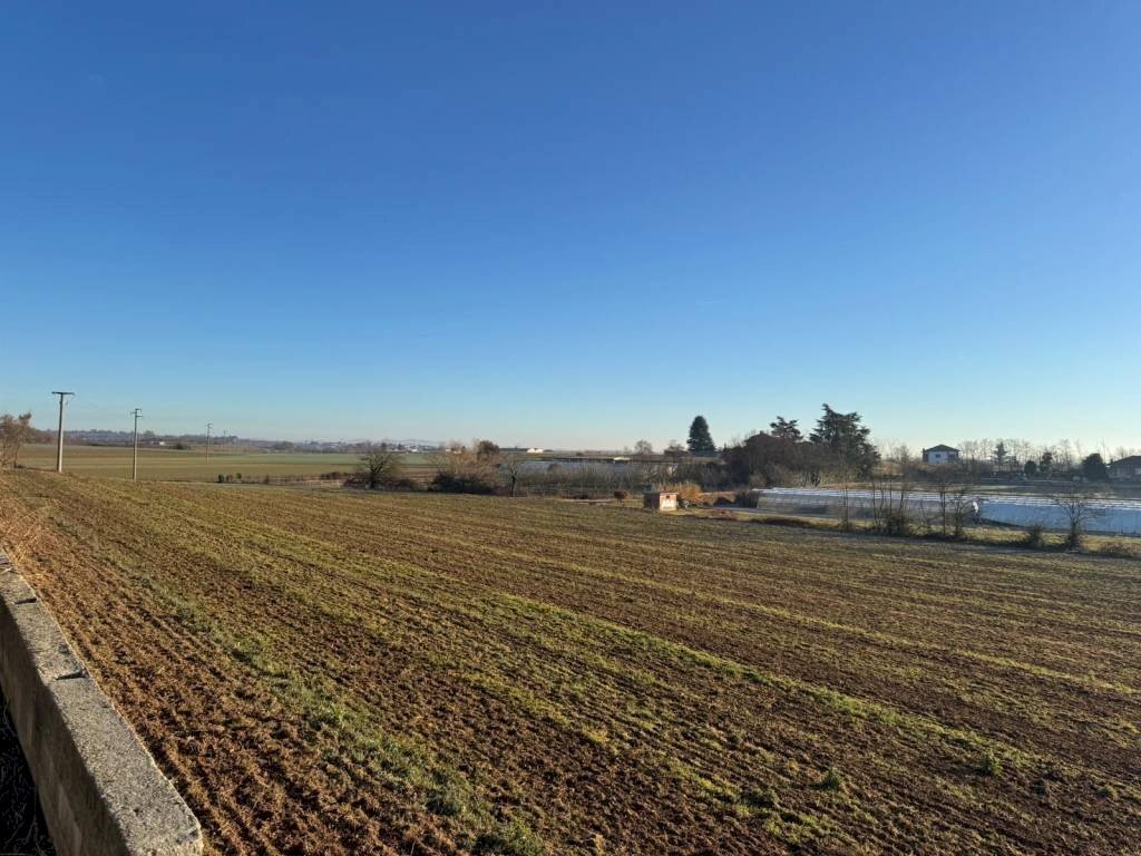 Terreno - Terreno agricolo via Alcide De Gasperi, Cambiano - foto 3