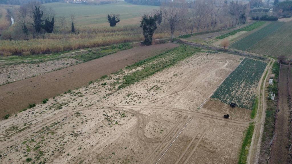 Terreno - Terreno agricolo via Secchia, San Mauro Pascoli - foto 2
