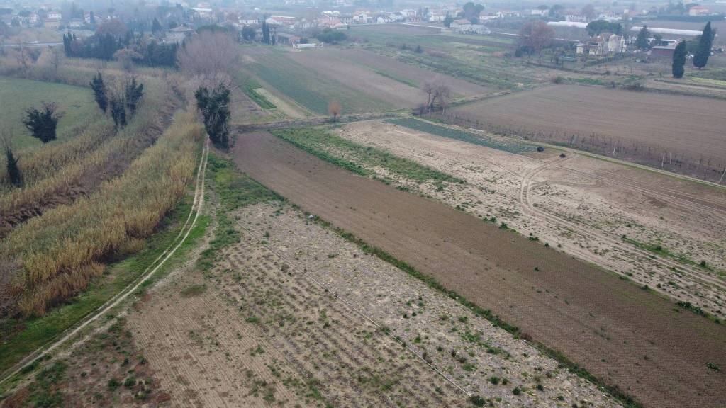 Terreno - Terreno agricolo via Secchia, San Mauro Pascoli - foto 3