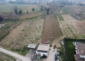 Terreno - Terreno agricolo via Secchia, San Mauro Pascoli - foto 1