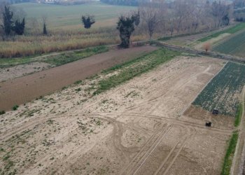 Terreno - Terreno agricolo via Secchia, San Mauro Pascoli - foto 2