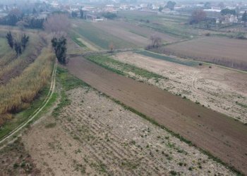 Terreno - Terreno agricolo via Secchia, San Mauro Pascoli - foto 3