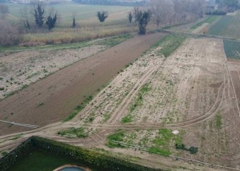 Terreno - Terreno agricolo via Secchia, San Mauro Pascoli - foto 4
