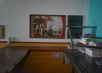 DSC_0164.JPG - Locale Commerciale Viale della Libertà 343, Messina - foto 5