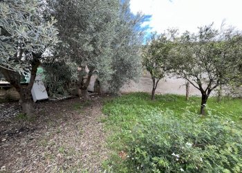 IMG_1002.JPG - Villa Strada Ognina 70, Siracusa - foto 13