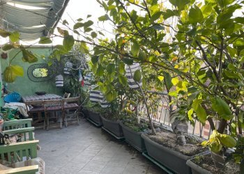 Quadrilocale Torino (zona Crocetta) - foto 46