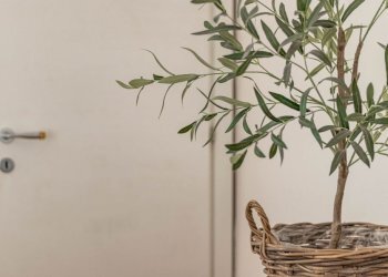 Bilocale Imola - foto 6