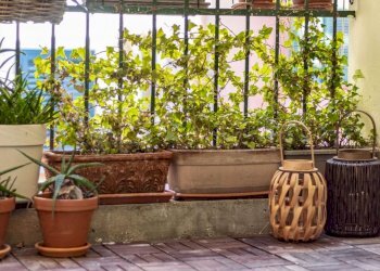 Bilocale Imola - foto 12