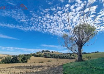 Rustico Via Maccarata 20, Santa Maria Nuova - foto 8