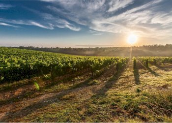 Rustico Via Maccarata 20, Santa Maria Nuova - foto 26