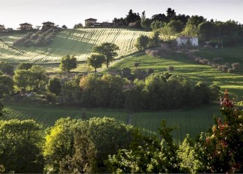 Rustico Via Maccarata 20, Santa Maria Nuova - foto 27