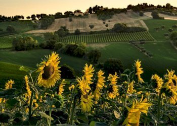 Rustico Via Maccarata 20, Santa Maria Nuova - foto 30