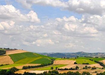 Rustico Via Maccarata 20, Santa Maria Nuova - foto 34