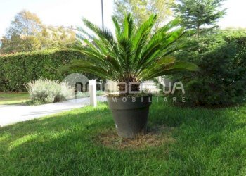 Villa a Schiera Modena - foto 15