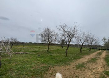 Giardino - Independent house cda vagne
 
sn, Piazza Armerina - photo 6