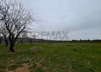 Giardino - Independent house cda vagne
 
sn, Piazza Armerina - photo 17