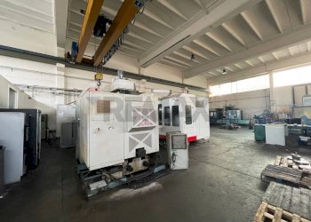 Interno - Capannone Castelbellino - foto 5