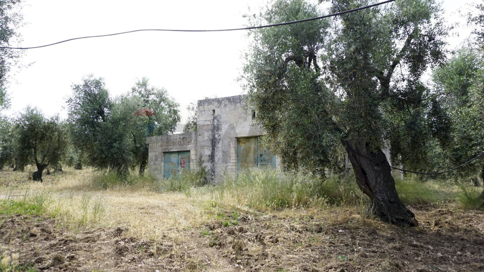 rustico - Rustico Località Focareta
 
SNC, Vieste - foto 1