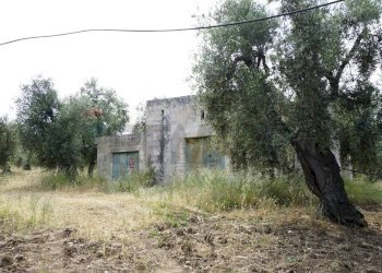 rustico - Rustico Località Focareta
 
SNC, Vieste - foto 1