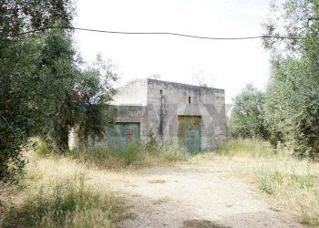 rustico - Rustico Località Focareta
 
SNC, Vieste - foto 2