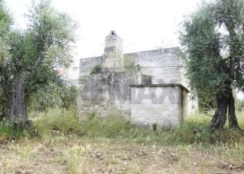 rustico - Rustico Località Focareta
 
SNC, Vieste - foto 3