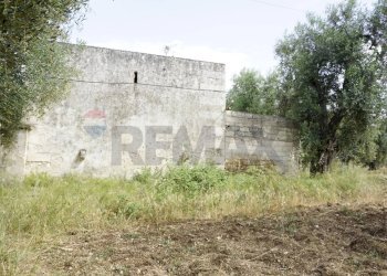 rustico - Rustico Località Focareta
 
SNC, Vieste - foto 4