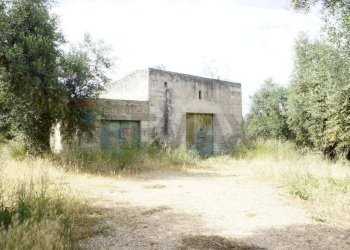 rustico - Rustico Località Focareta
 
SNC, Vieste - foto 6