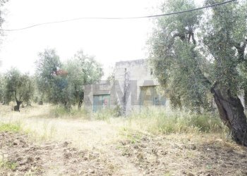 rustico - Rustico Località Focareta
 
SNC, Vieste - foto 9