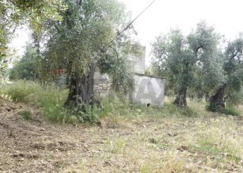 rustico - Rustico Località Focareta
 
SNC, Vieste - foto 13