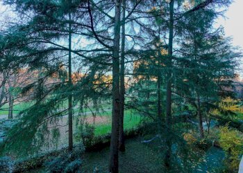 Foto 14 - Appartamento Via Misa
 
19, Bologna - foto 14