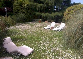 Giardino - Villa Montevecchia - foto 46
