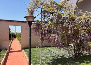 Giardino - Villa via degli anemoni
 
19, Ragusa - foto 24