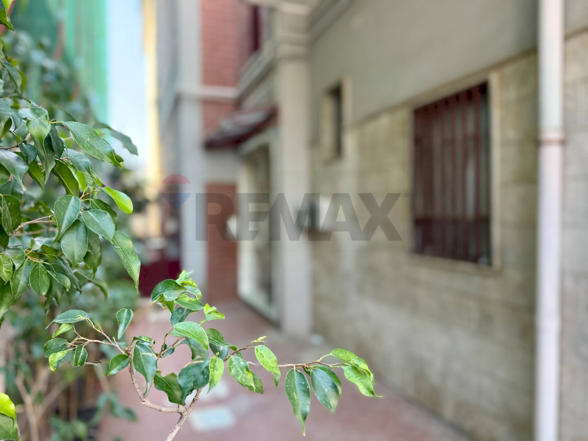 Dettagli - Trilocale VIALE EUROPA
 
9, Calvizzano - foto 1