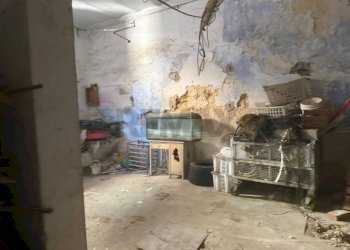 Dispensa di stoccaggio - Rustico via del pascolo
 
5, Partinico - foto 28