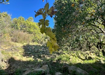 Casa indipendente Case Zanin, Ventimiglia - foto 15