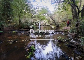 Villa Strada Valle del Dragone, Oriolo Romano - foto 18