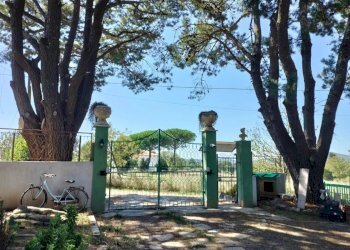 Villa Strada Valle del Dragone, Oriolo Romano - foto 19