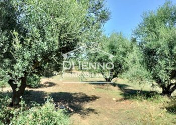 Villa Strada Valle del Dragone, Oriolo Romano - foto 28