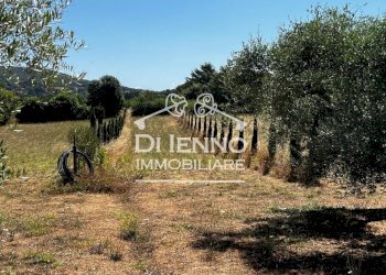 Villa Strada Valle del Dragone, Oriolo Romano - foto 39