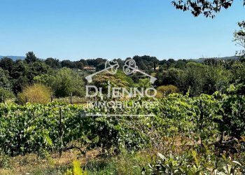 Villa Strada Valle del Dragone, Oriolo Romano - foto 41