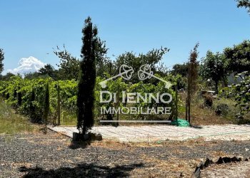 Villa Strada Valle del Dragone, Oriolo Romano - foto 61