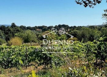 Villa Strada Valle del Dragone, Oriolo Romano - foto 63