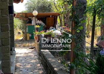 Villa Strada Valle del Dragone, Oriolo Romano - foto 65