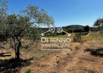 Villa Strada Valle del Dragone, Oriolo Romano - foto 69