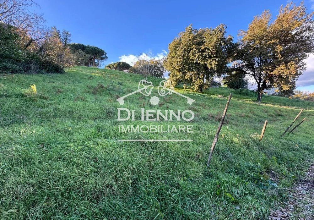 Terreno agricolo Morlupo, Morlupo - foto 3