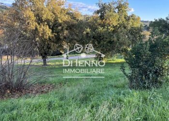 Terreno agricolo Morlupo, Morlupo - foto 11