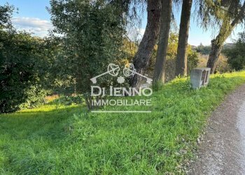 Terreno agricolo Morlupo, Morlupo - foto 18