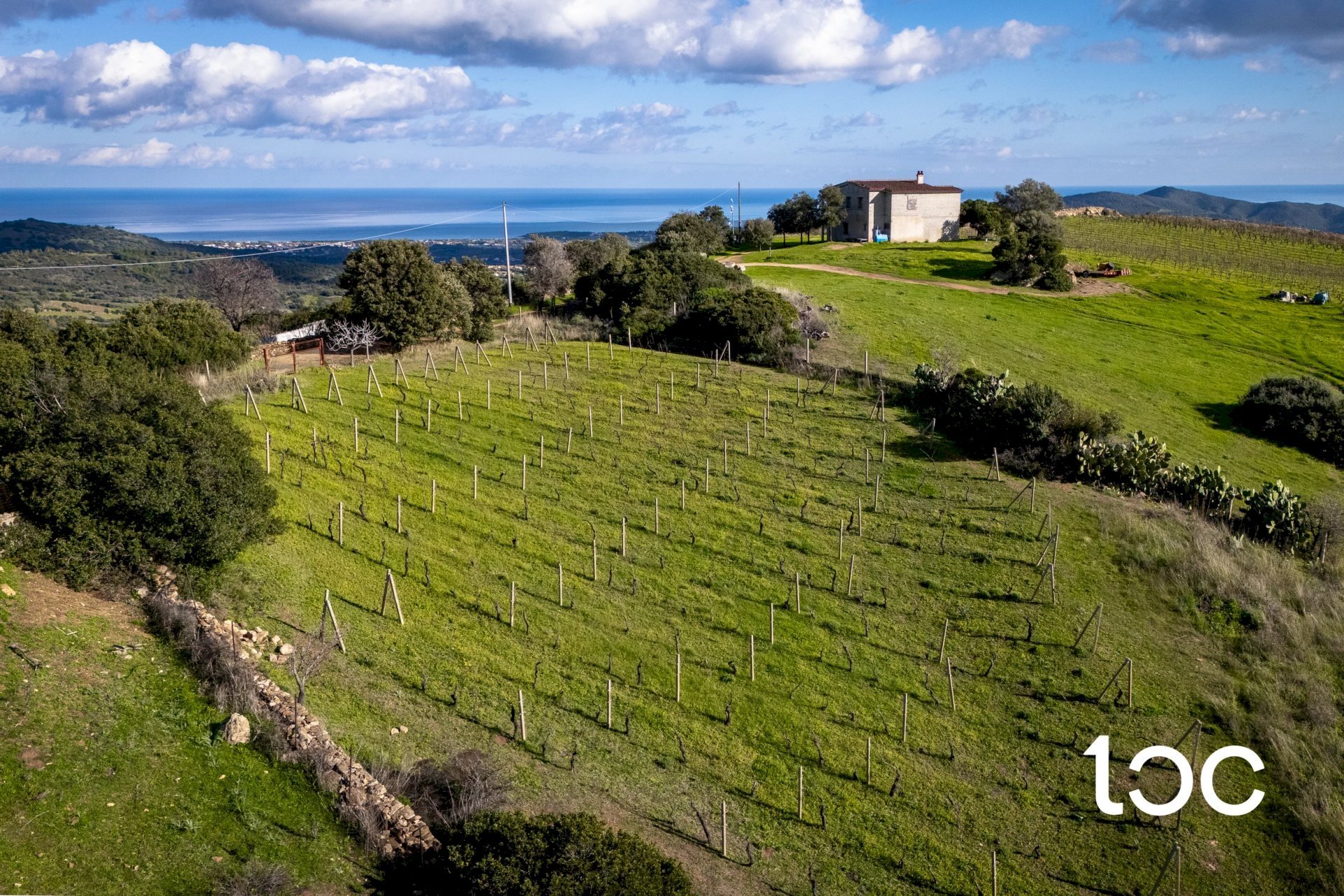 Agricultural land Budoni - photo 2