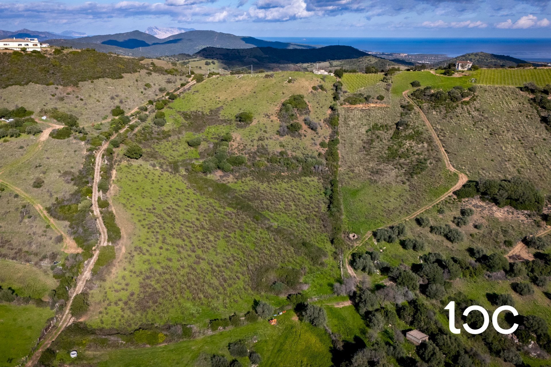 Agricultural land Budoni - photo 3